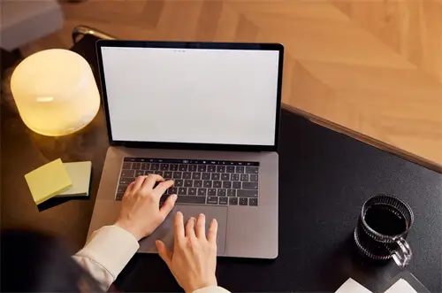 丰城美食烤羊排在哪里